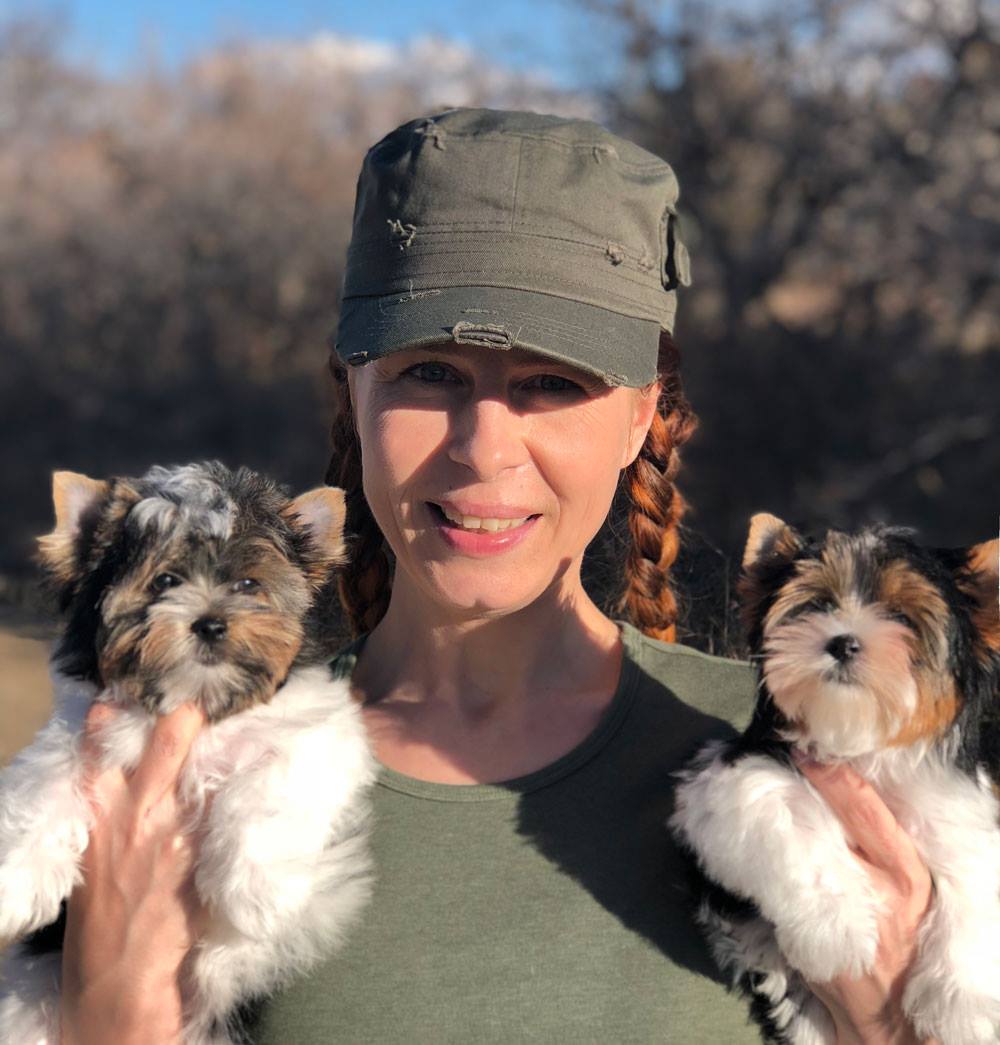 Karen Hansen with Biewer Terrier Puppies