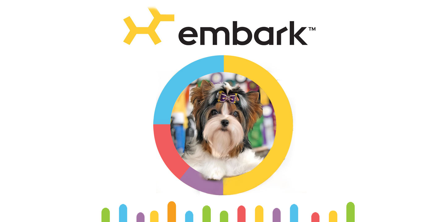 Biewer Terrier Embark Health Test