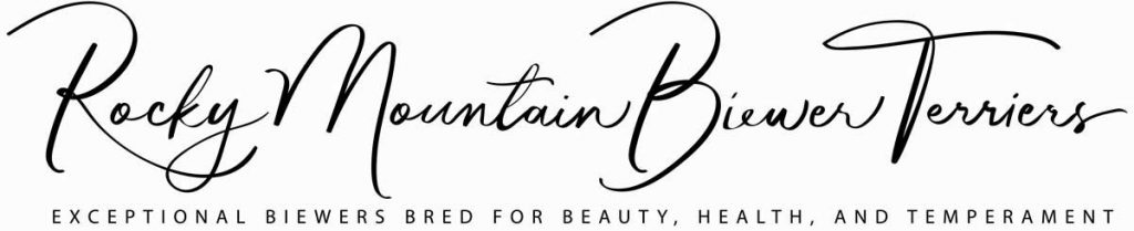 Rocky Mountain Biewer Terriers