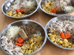 Home-cooked Biewer Terrier Food