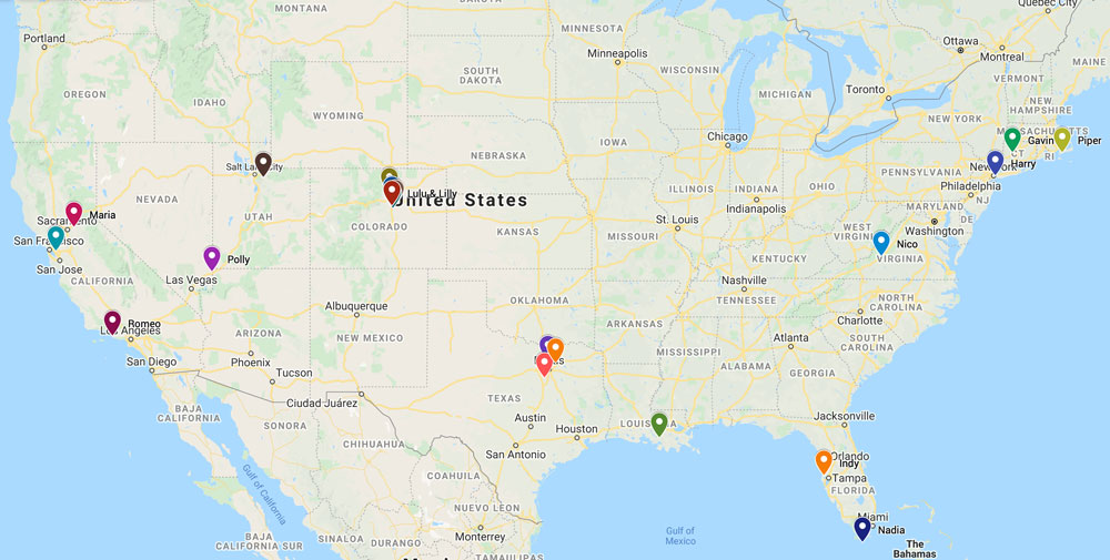 Biewer Puppy Travel Map