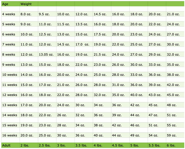 estimated adult weight