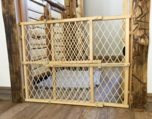 Biewer Puppy Safety Gate