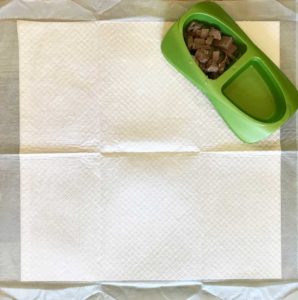 Food, Water & Potty at the Airport