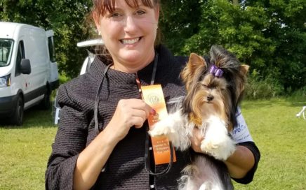 Rocky Mountains Sir Remington wins Certificate of Merit