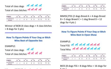 How to count Certificate of Merit Points