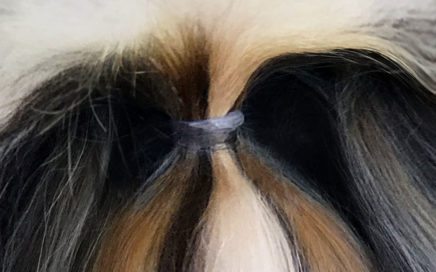 Knotless Hair Wrap Clear Color