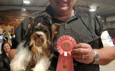 Rocky Mountain's Sir Remington wins BIS