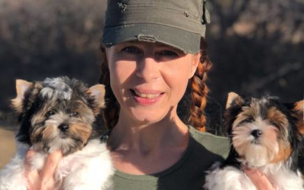 Karen Hansen with Biewer Terrier Puppies