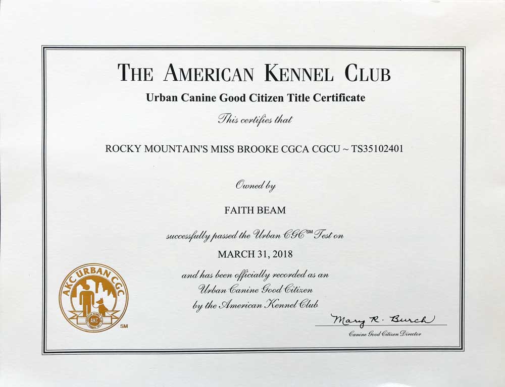 Rocky Mountain's Miss-Brooke Biewer Terrier AKC Urban Community Canine Title Certificate