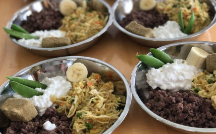 Home made Biewer Terrier Food