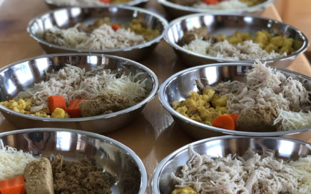 Home made Biewer Terrier Food