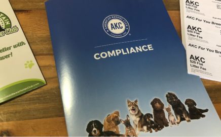 AKC Inspection at Rocky Mountain Biewer Terriers