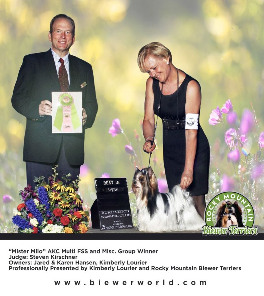 Biewer Terrier Milo and Kimberly 2019