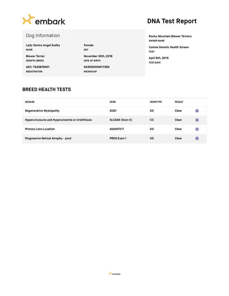 OFA Test Report Biewer Terrier
