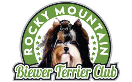 Biewer Terrier