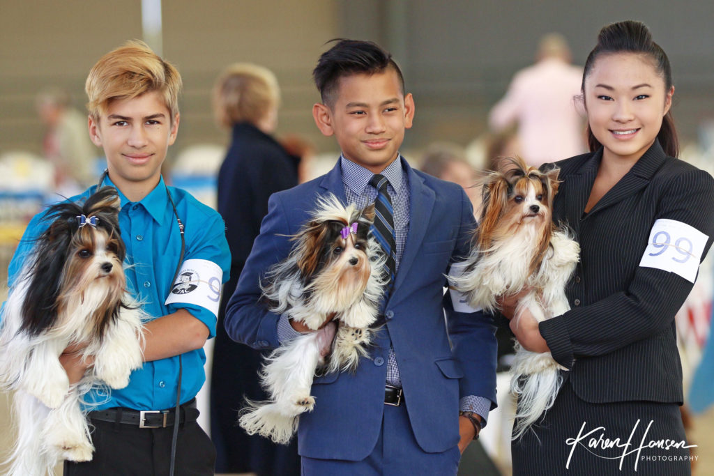 Junior Handlers with Rocky Mountain Biewer Terriers