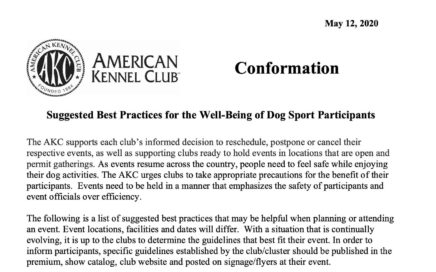 Suggested Best Practices for the Well-Being of Dog Sport Participants