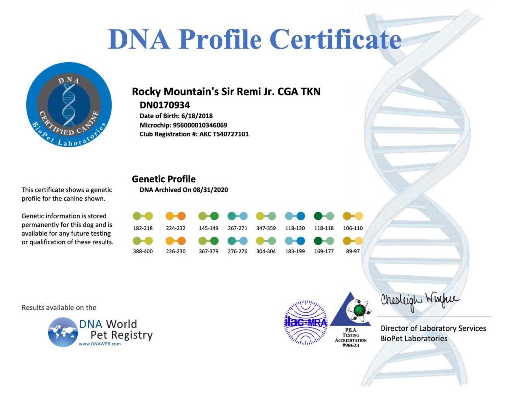 Rocky Mountain Biewer Terriers DNA Profile Certificate for Rocky Mountain's Sir Remi Jr. Rocky Mountain Biewer Terriers DNA Profile Certificate for Rocky Mountain's Sir Remi Jr.