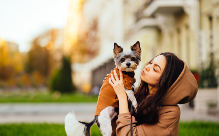 Biewer socialization