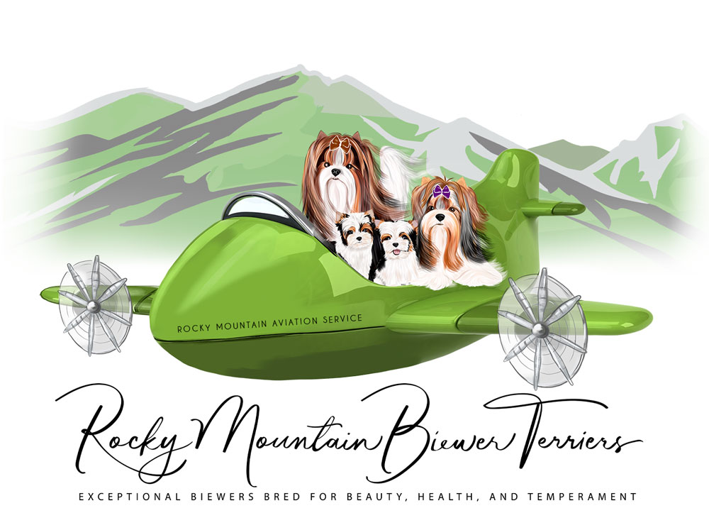 Puppy Flight to Denver