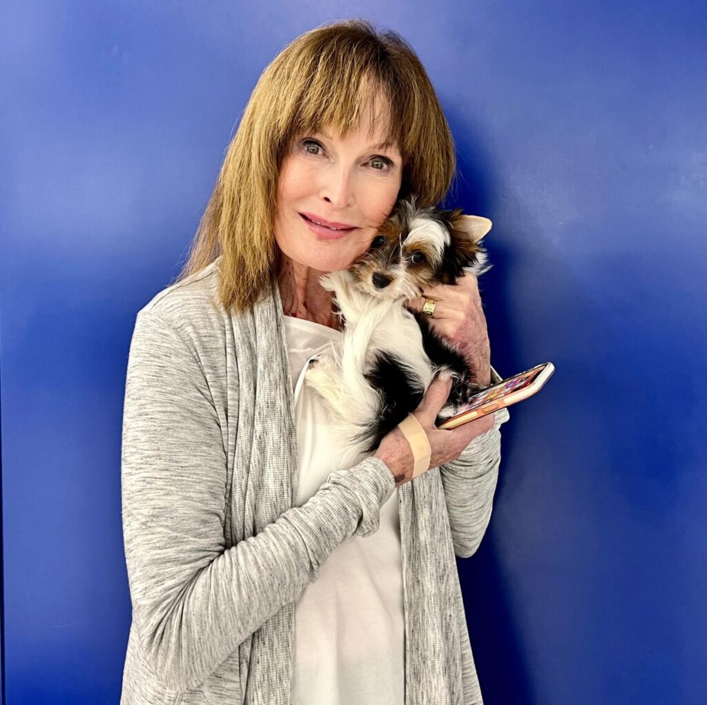 Rocky Mountain Biewer Terrier Puppy