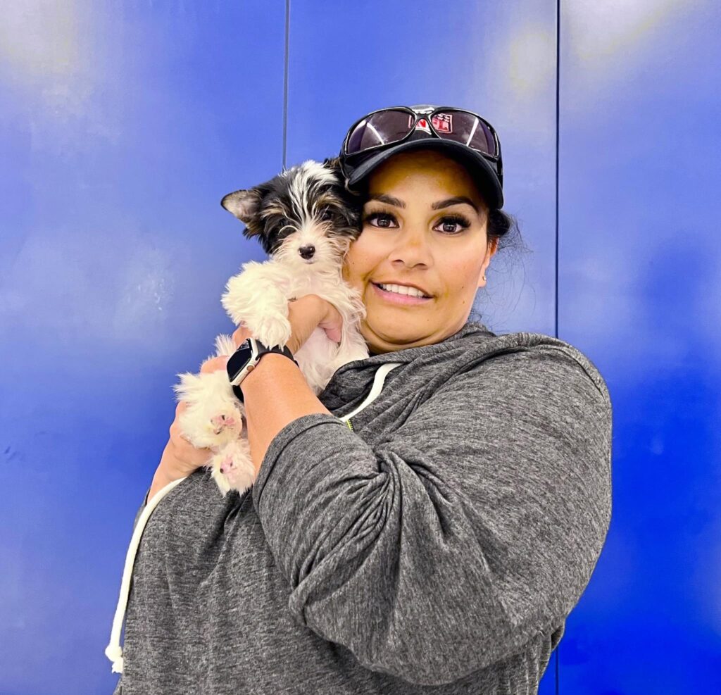 Biewer Puppy to Bradenton, FL