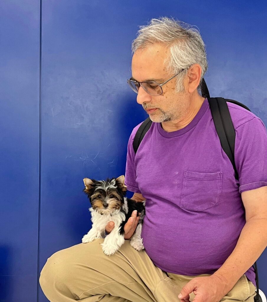 Biewer Puppy to  Graham, WA.