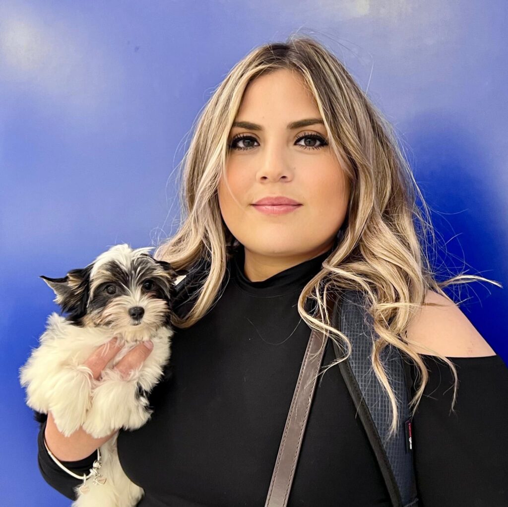 Rocky Mountain Biewer Puppy going home to San Juan, TX.