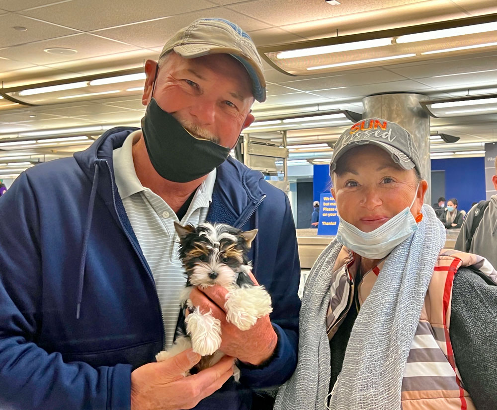 Book a Puppy Delivery Flight - Image 6