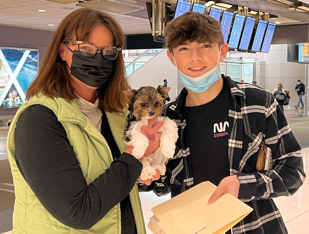 Book a Puppy Delivery Flight - Image 7