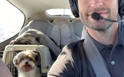 Adopting a retired Biewer Terrier