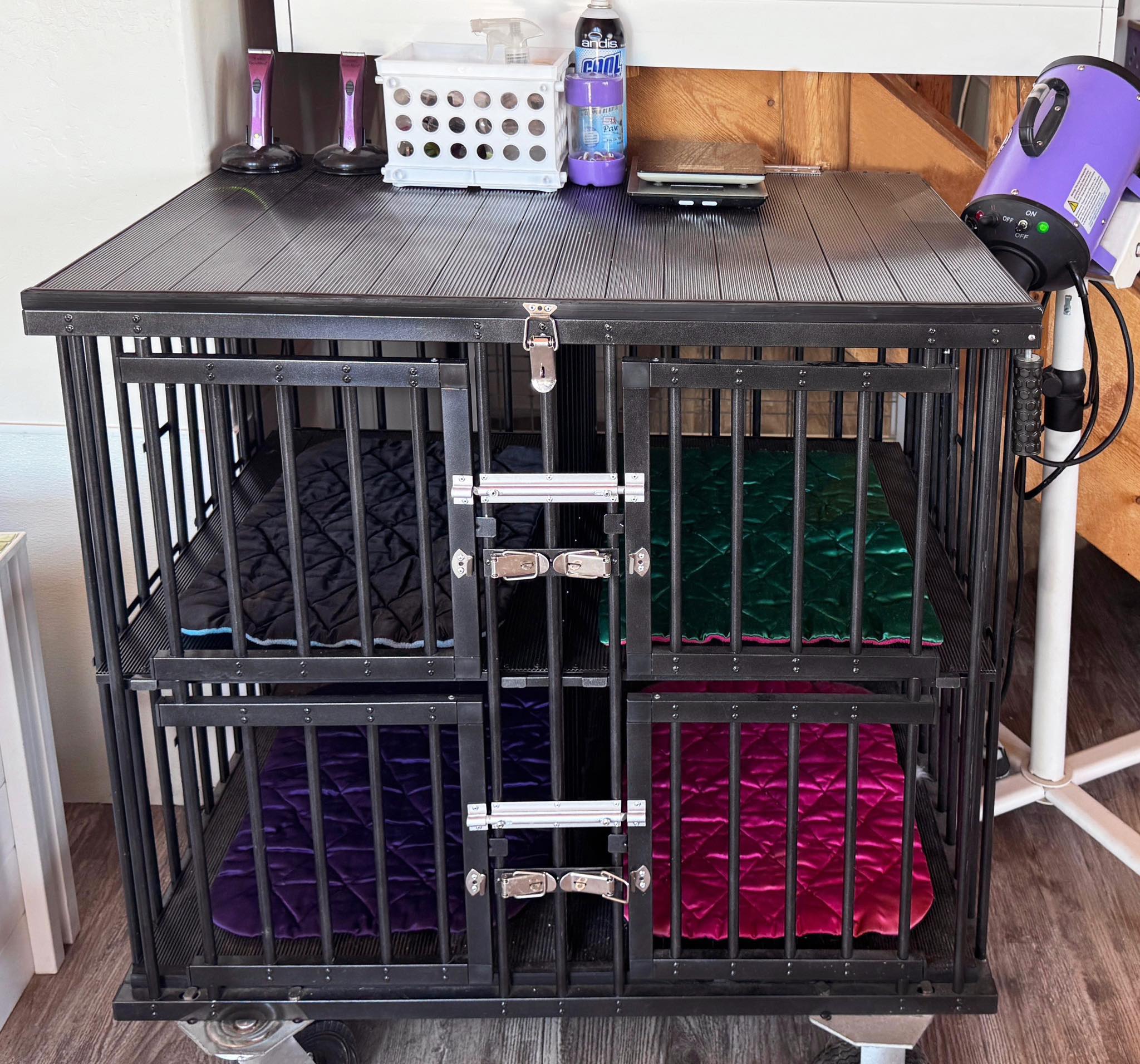 grooming for biewer terrier puppies