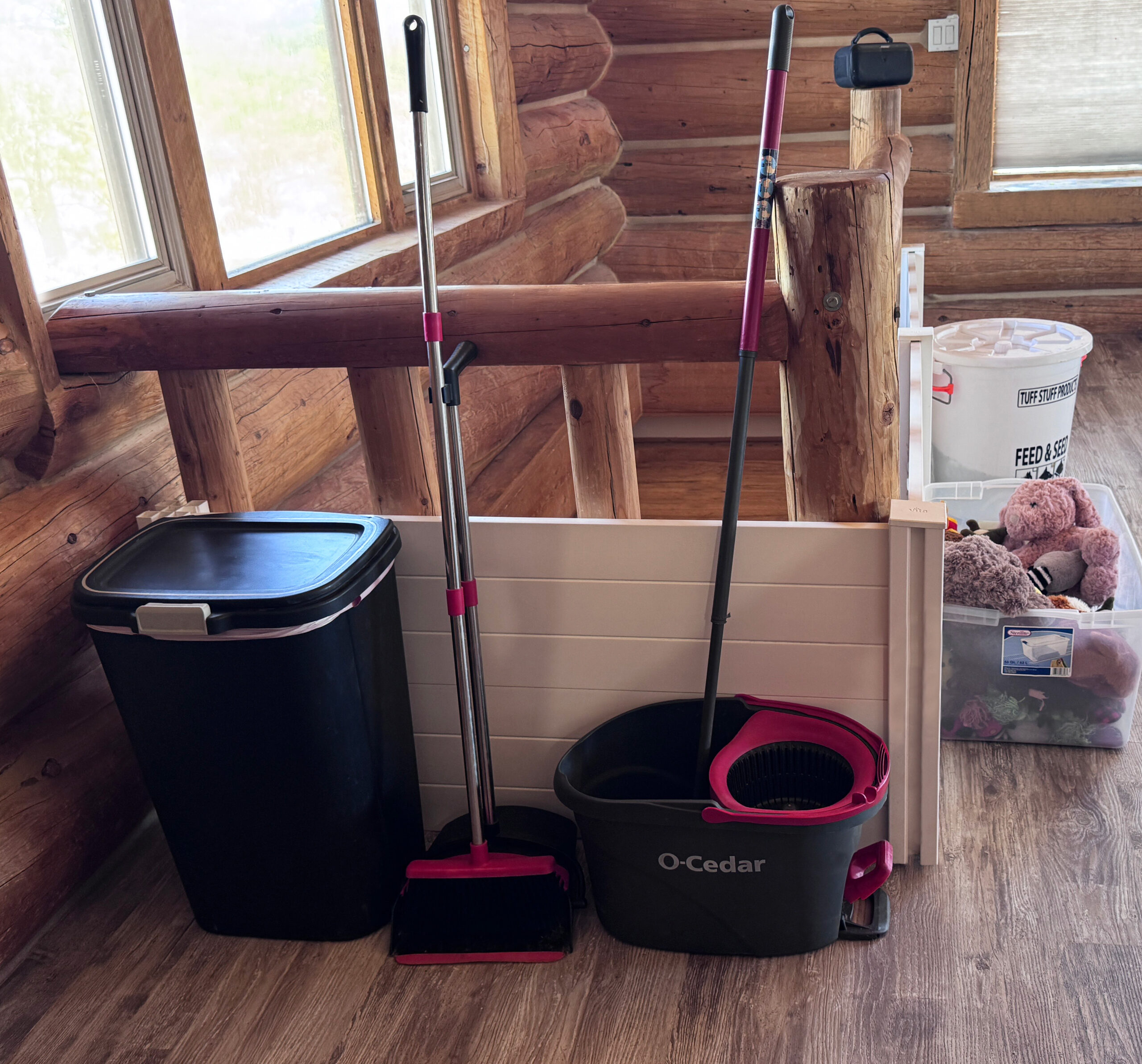 cleaning and health for biewer terrier puppy