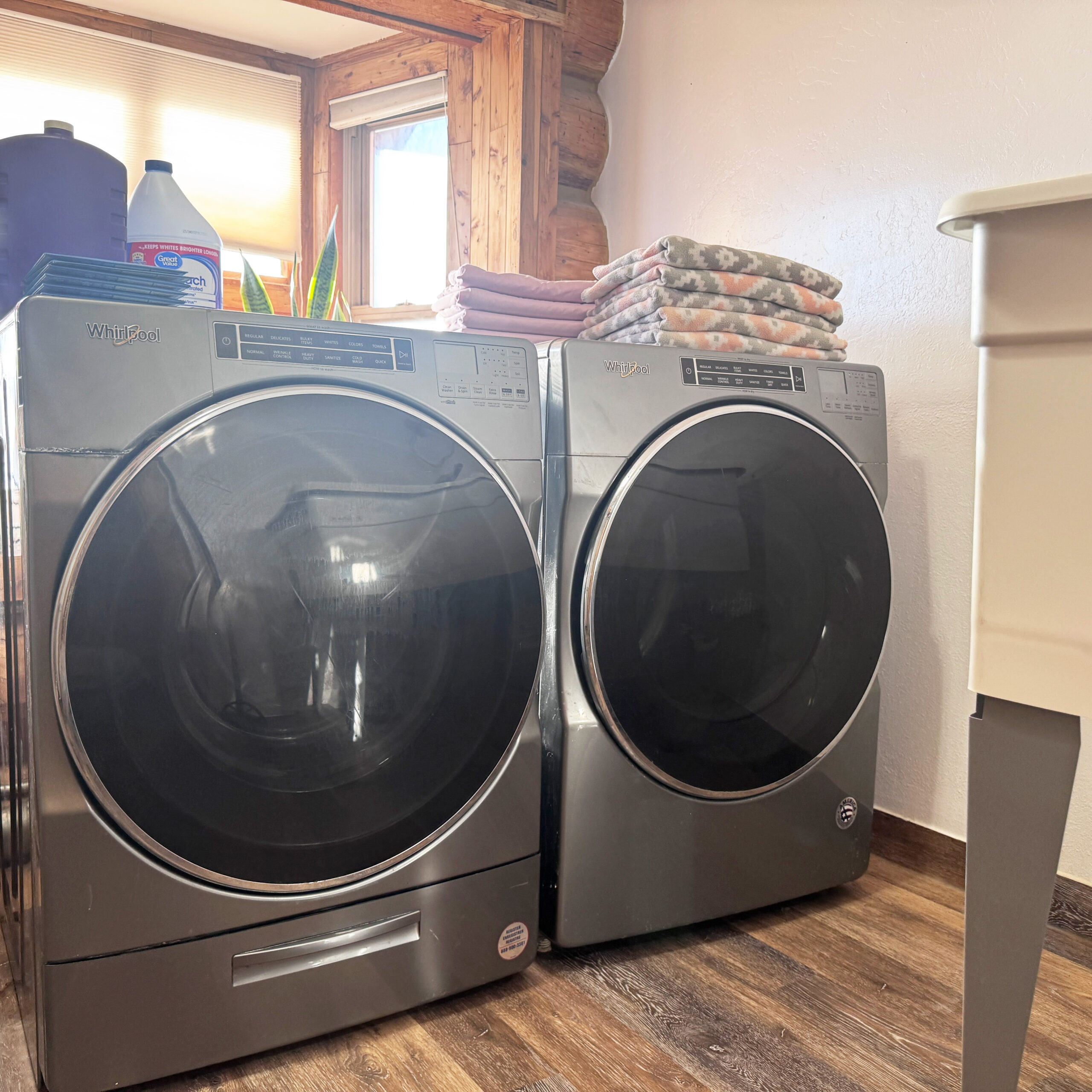 cleaning and health for biewer terrier puppy